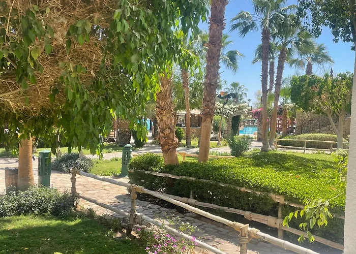 Pleasure - Delta Sharm el Sheikh